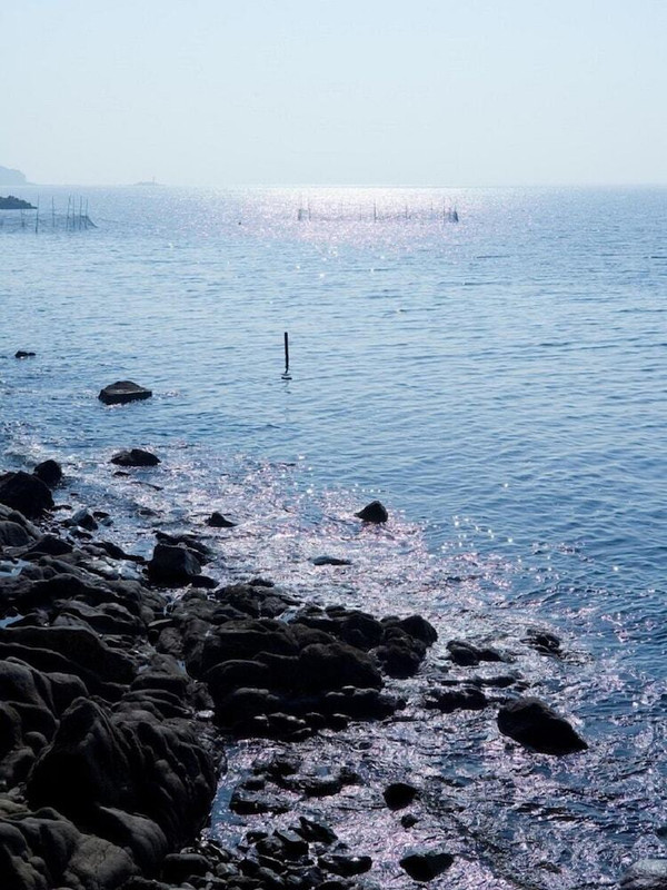 施設からの眺望