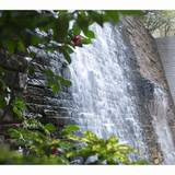 大浴場でリラックス
心解けるバスタイム
 / 2