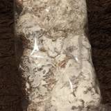 べいくはうすフェアリー 長坂インター店(ベイクハウスフェアリー)