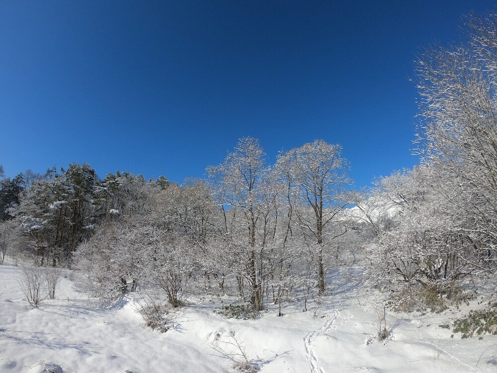 スノー スポーツとスキー