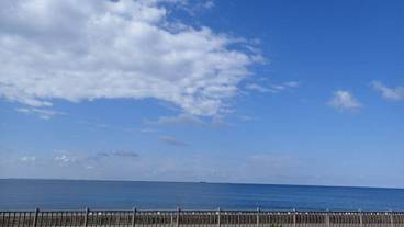 ビーチ / オーシャン ビュー / 3