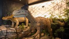 変なホテル東京 西葛西