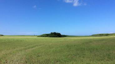 施設の敷地 / 10