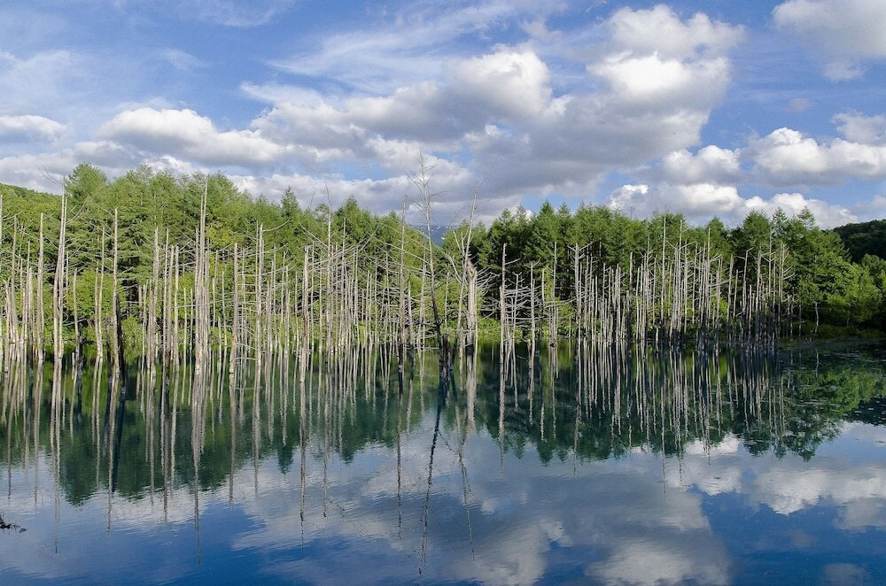 施設からの眺望