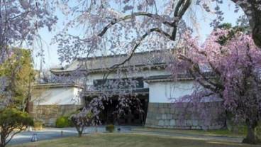 観光スポット / 3