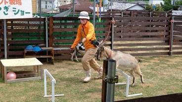 ランド ビュー / 23