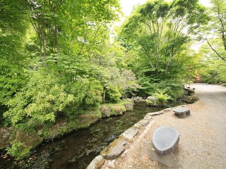 信州佐久 春日温泉 自然体感リゾート かすがの森 / 4