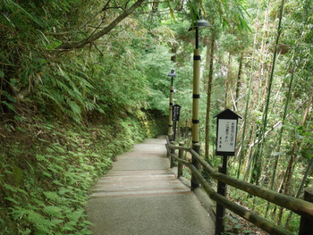 ”そうめん流し”発祥の地「唐船峡」630858
