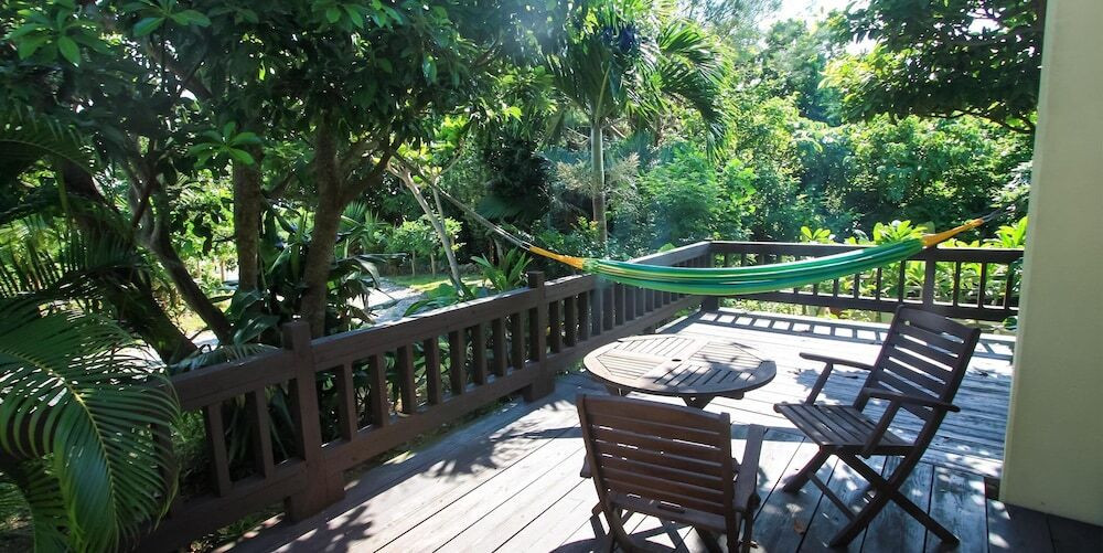 テラス / パティオ