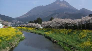 観光スポット / 2