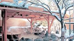 定山渓 花もみじ