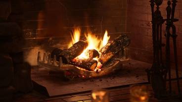 レストラン / 29