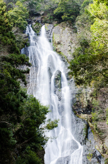 神庭の滝（岡山県真庭市）86607