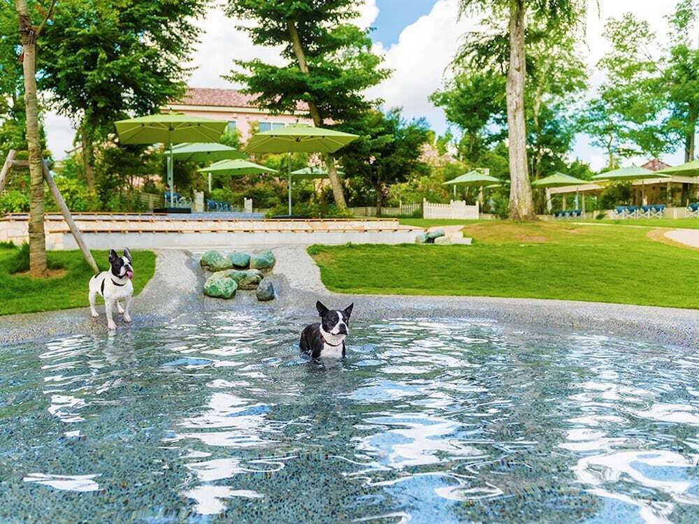 ペット用設備・サービス