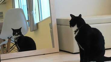 施設内の設備 / 1