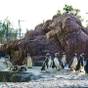 【チケット付きでお得】上越市立水族博物館「うみがたり」入場券付きプラン(2025.4/1~) | 休暇村 妙高