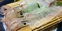 博多駅の居酒屋6選！魚にうるさい博多っ子も大満足の刺身が美味い店を厳選