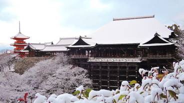 施設からの眺望 / 16