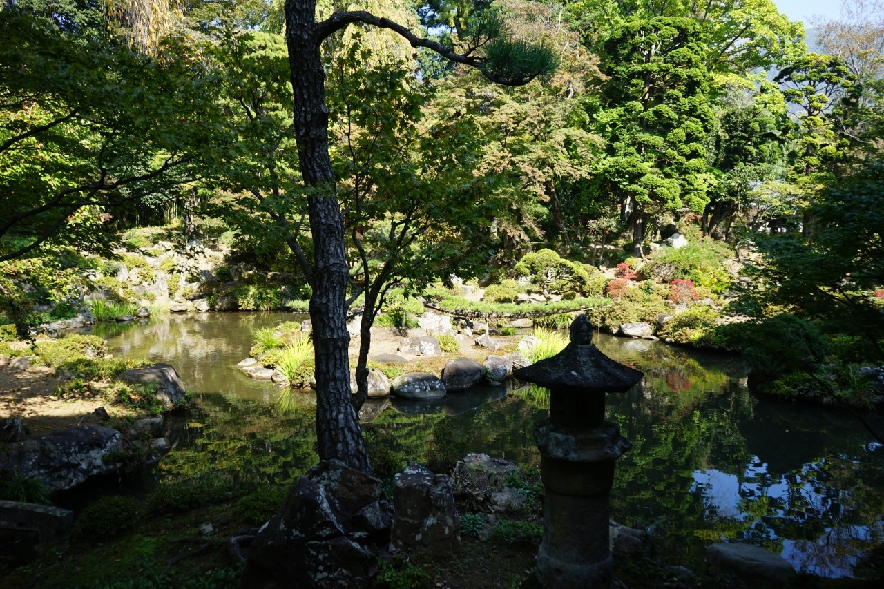 恵林寺庭園 / 山梨県3723610
