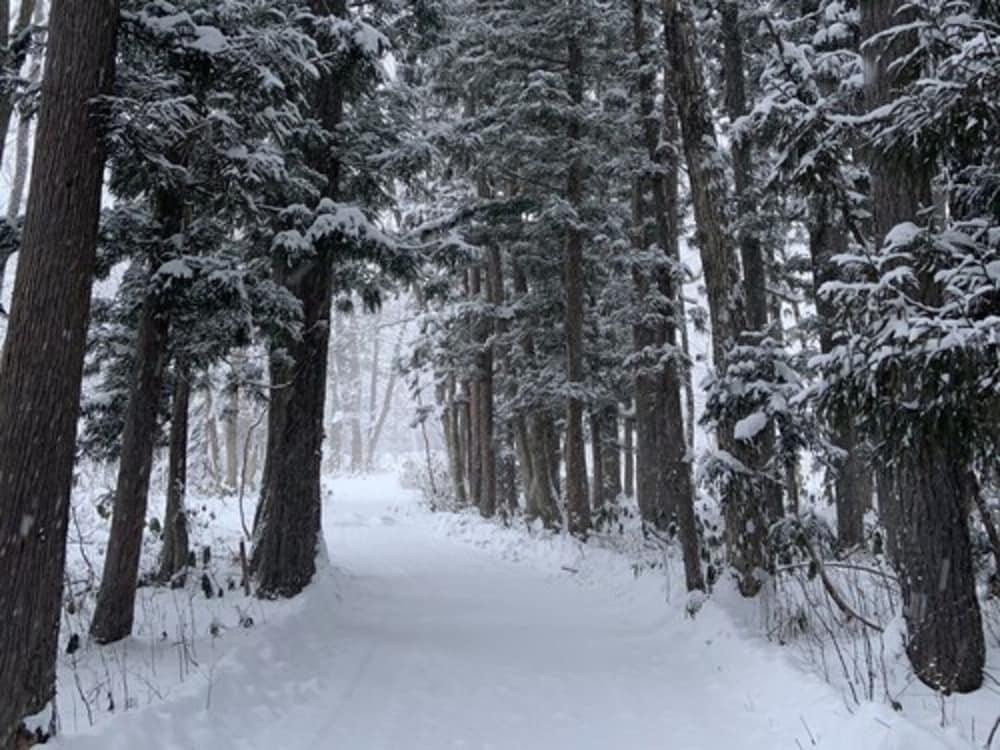 施設からの眺望
