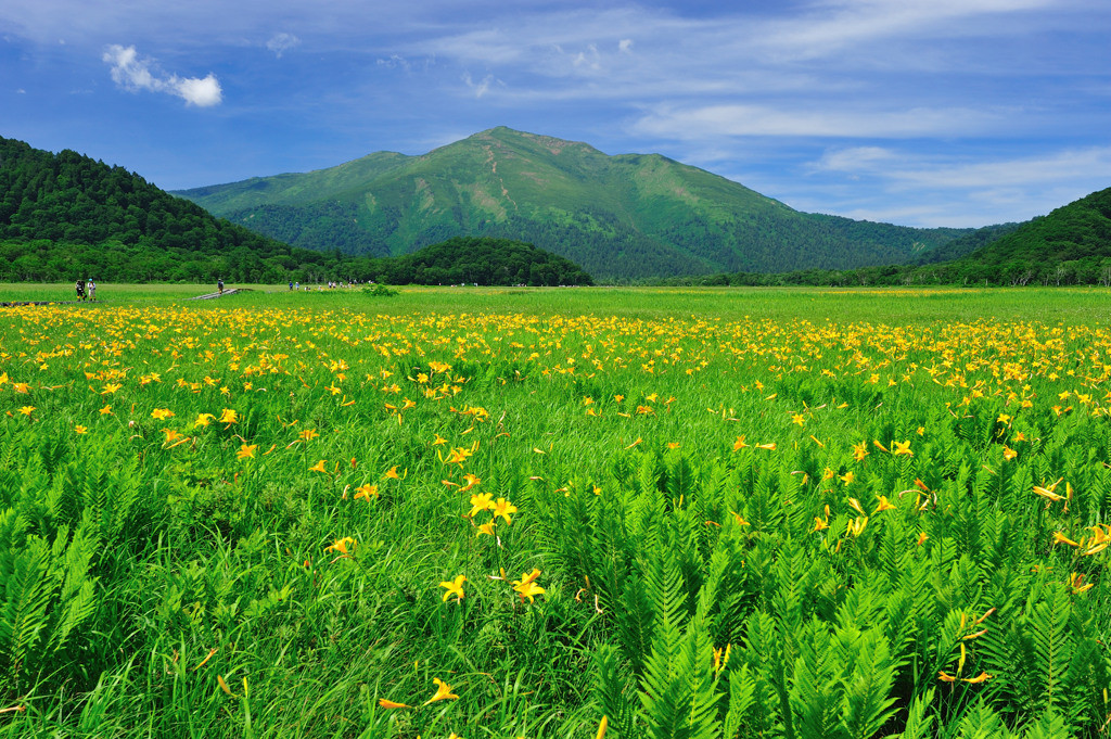 コスパ抜群な“尾瀬の宿”で癒やされよう！4257342
