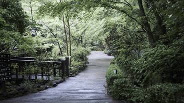 ストリート ビュー / 13