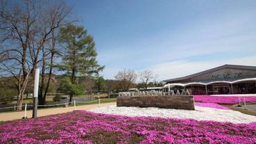 観光スポット / 9