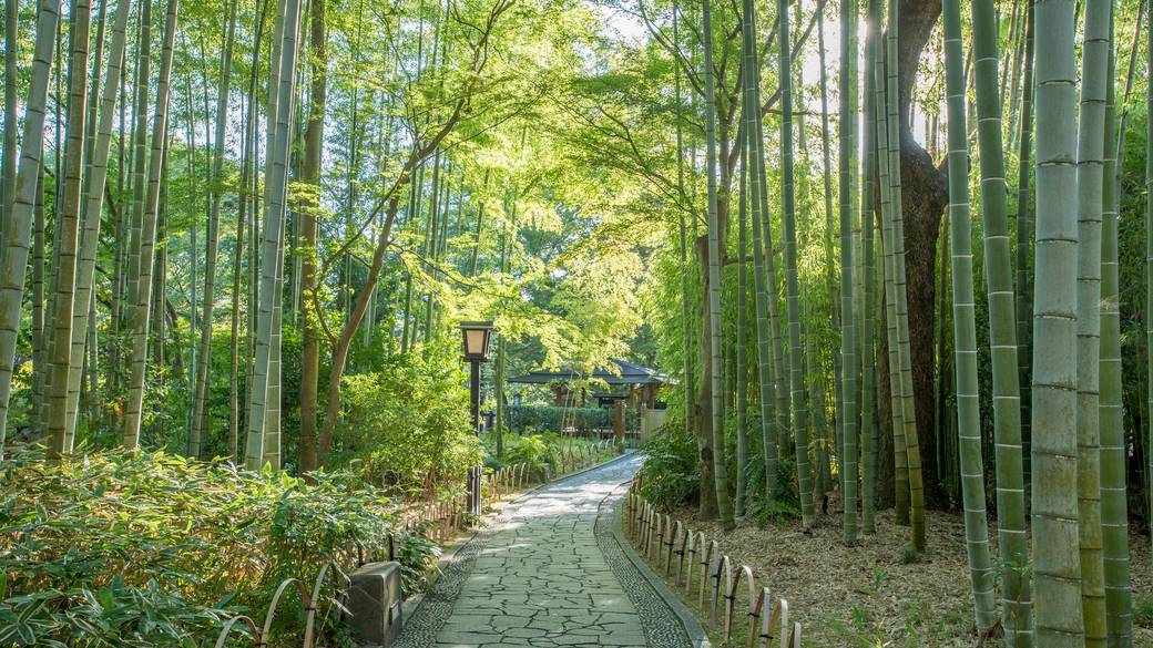 修善寺駅周辺で
ご当地グルメに舌鼓 / 4
