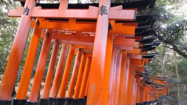 観光スポット / 1