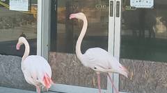 大自然阿蘇 健康の森（阿蘇ファームヴィレッジ）