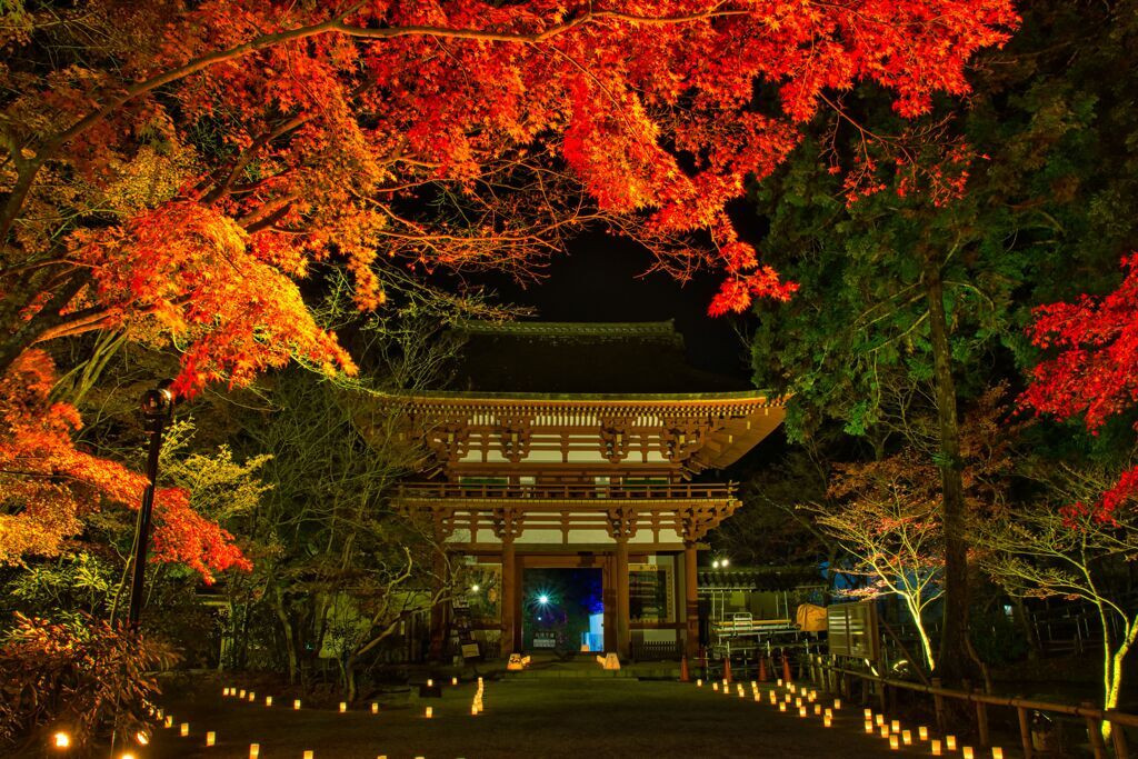 室生寺2403131