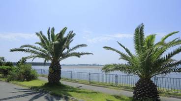 観光スポット / 2