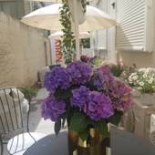 Hotel Blue Empire in 新宿（東京都 アパートメント） / 3