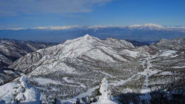 観光スポット / 5