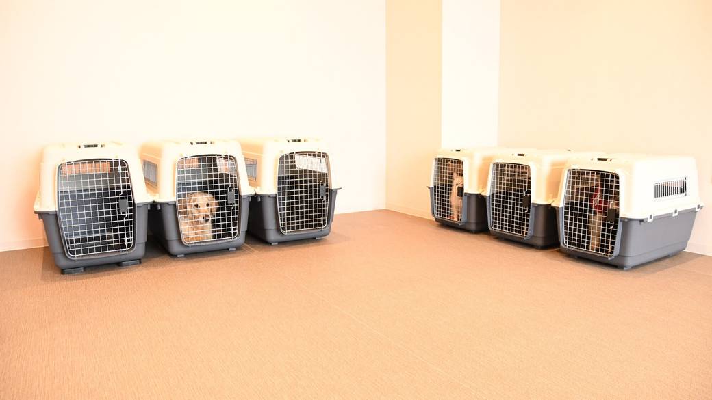 ドッグホテル 有料 / 2