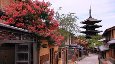 観光スポット / 15