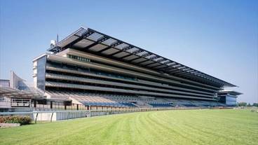 観光スポット / 18