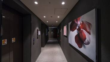 建物のデザイン / 11