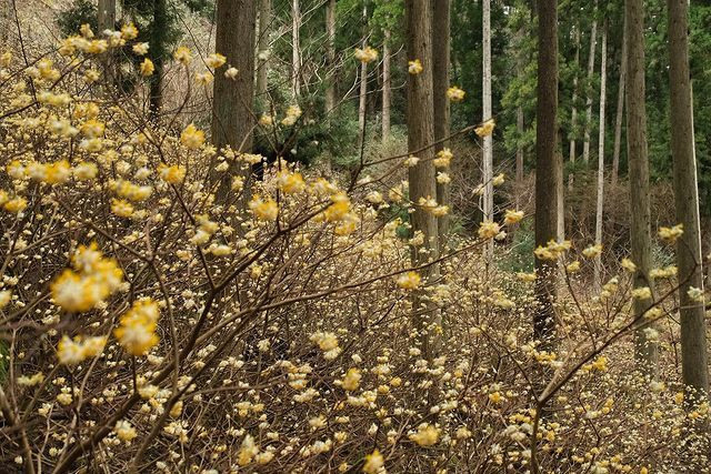 zunko0306さんの写真 / 2