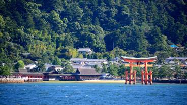 嚴島神社 大鳥居 / 6
