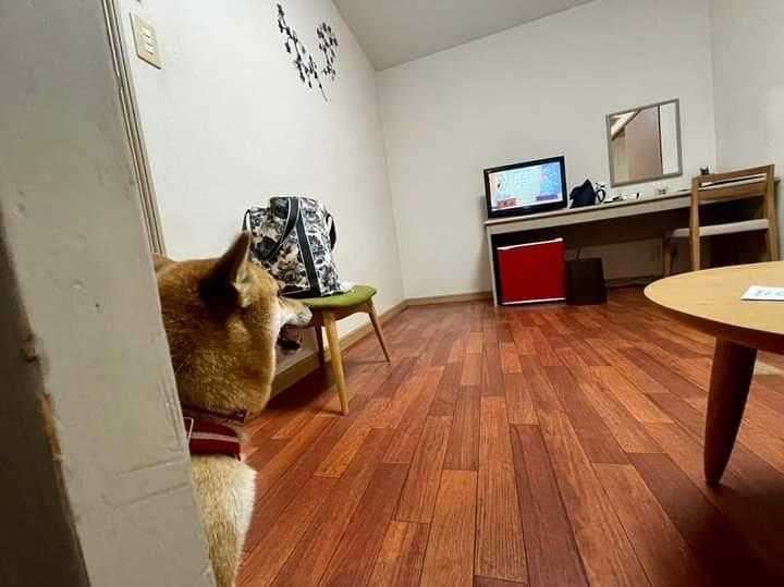 anzu.1120さんの写真 / 3