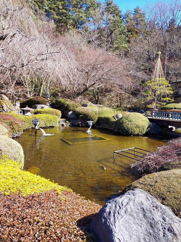 satoakeさんの写真 / 3