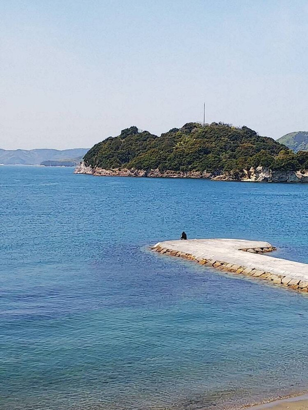 施設からの眺望