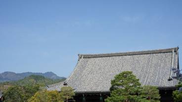 シティ ビュー / 23