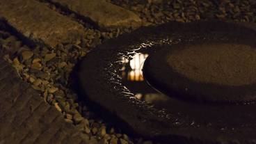 施設の敷地 / 12