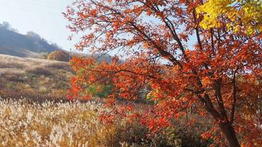 施設の敷地 / 10