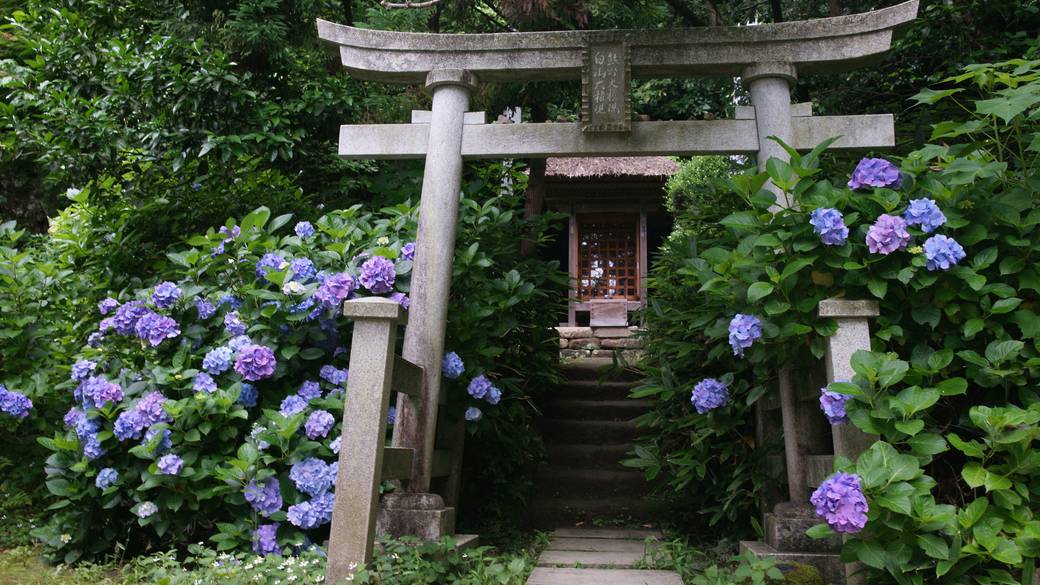寺院や公園を巡って
絶景ハンティング！
 / 2