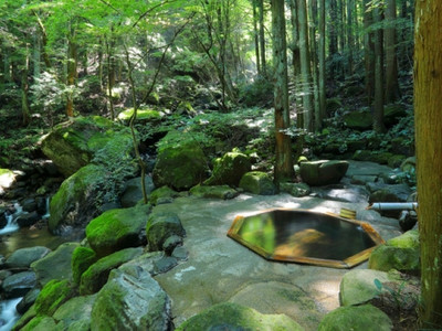 こちらは貸切風呂「深碧（しんぺき）」。原生林の中に溶け込むような気分で木々のざわめきに耳を傾けて