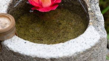 ガーデン ビュー / 7