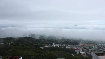 施設からの眺望 / 9